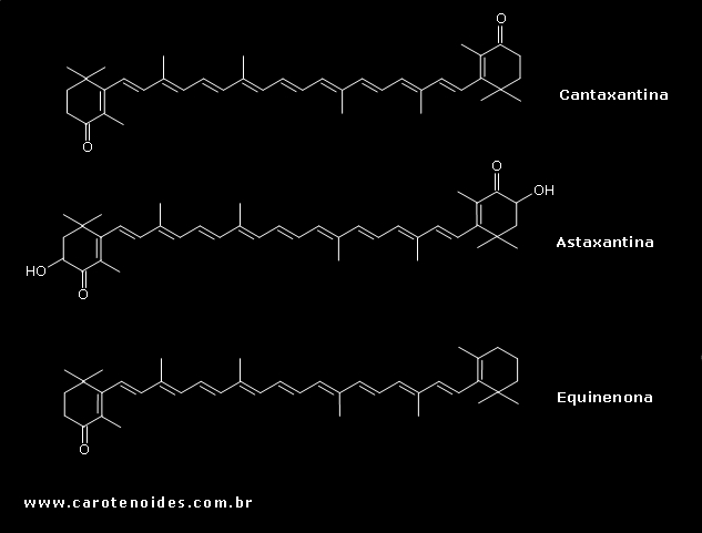 Estruturas qumicas dos carotenoides oxigenados (Cetocarotenoides)