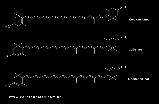 Estruturas qumicas dos carotenoides dihidroxilados