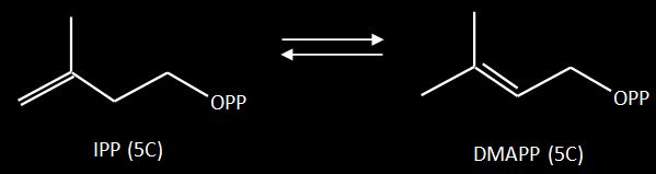 Isomerizao do IPP em DMAPP