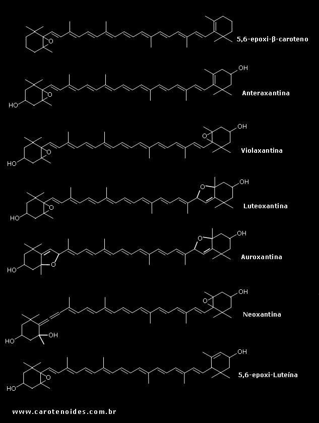 Estruturas qumicas dos carotenoides oxigenados (Epoxicarotenides)