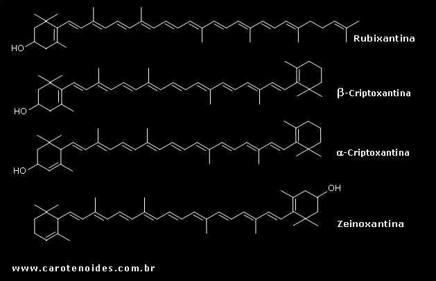 Estruturas qumicas dos carotenoides monohidroxilados