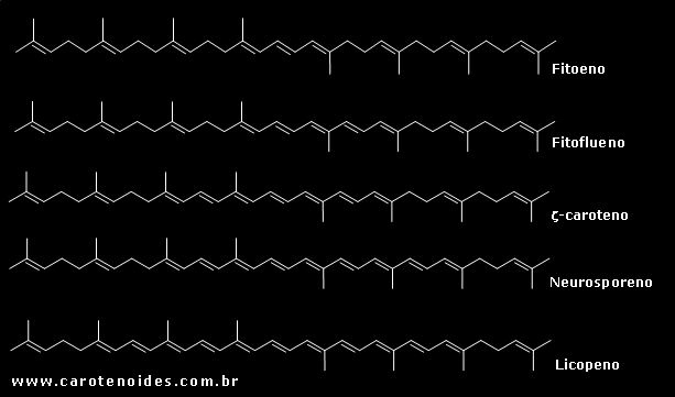Estruturas qumicas dos carotenoides acclicos
