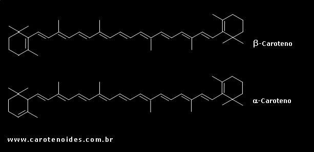 Estruturas qumicas dos carotenoides bicclicos
