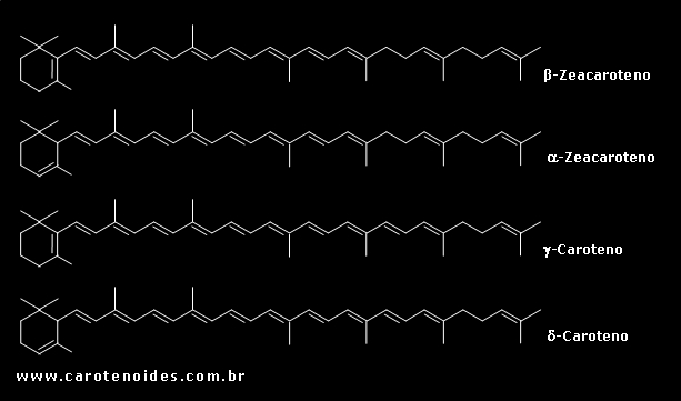 Estruturas qumicas dos carotenoides monocclicos