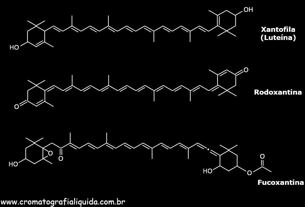 Xantofilas: Lutena, Rodoxantina e Fucoxantina